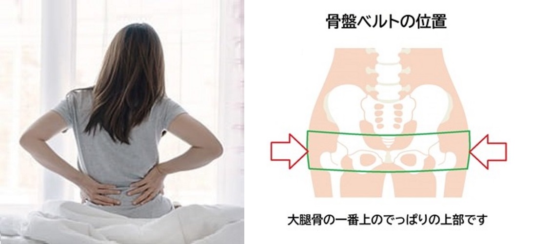 骨盤ベルト 腰痛サポートベルト 腰用コルセット 腰痛ベルト 女性