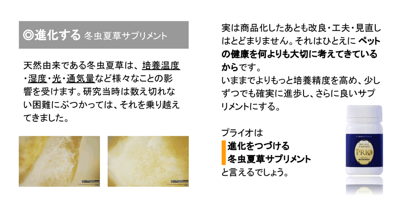 犬 猫 ペット用冬虫夏草サプリメント プライオ45g 免疫力の元気は日々 