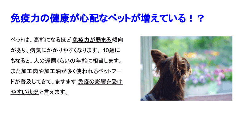 犬 猫 ペット用サプリメント 免疫力の元気は日々の健康管理から