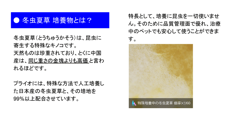 犬 猫 ペット用サプリメント 免疫力の元気は日々の健康管理から