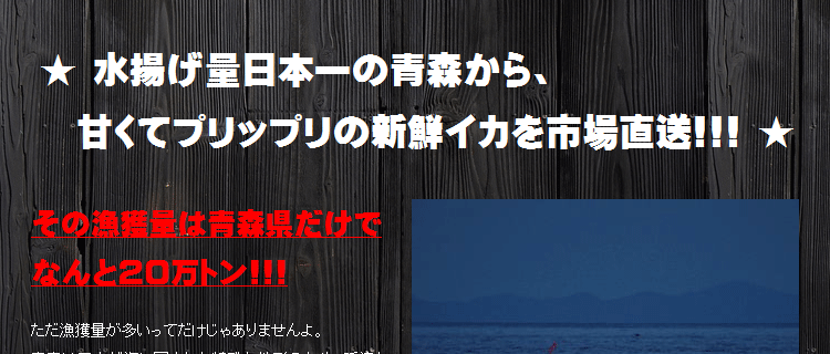 青森するめいか