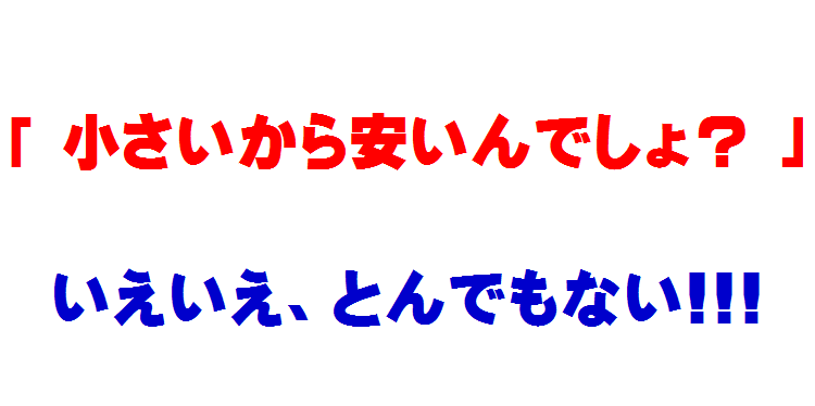 青森するめいか