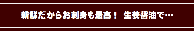 お刺身