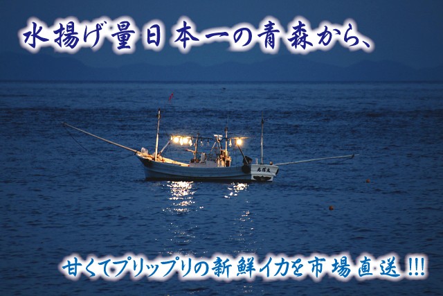 青森するめいか