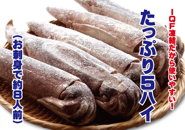 青森するめいか