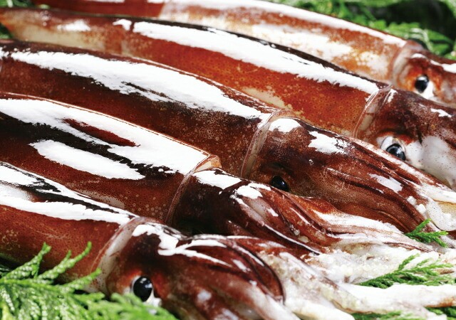 北海いかそうめん