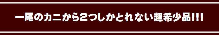 ズワイガニ爪