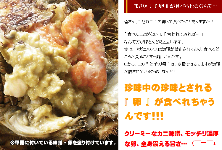 陸奥湾とげくり蟹