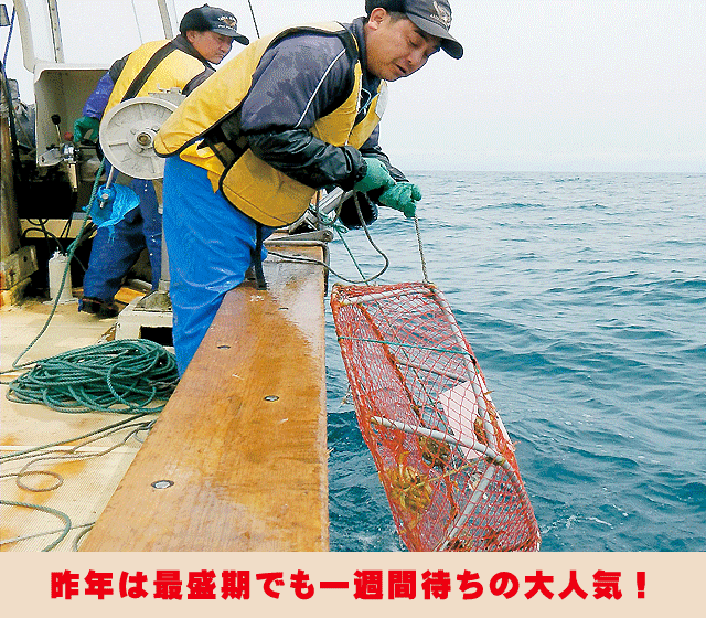 陸奥湾とげくり蟹