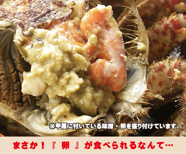 陸奥湾とげくり蟹