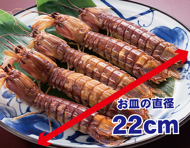 しゃこ 蝦蛄 春季限定 殻付き煮シャコ ガサエビ がさえび : 青森めぇー