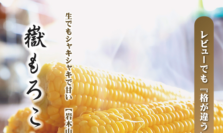 嶽きみ・とうもろこし