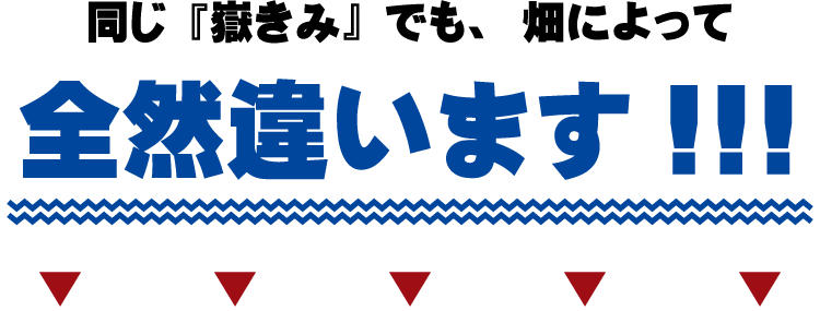 嶽きみ・とうもろこし