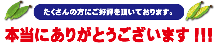 嶽きみ・とうもろこし