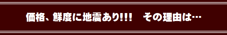 嶽きみ・とうもろこし