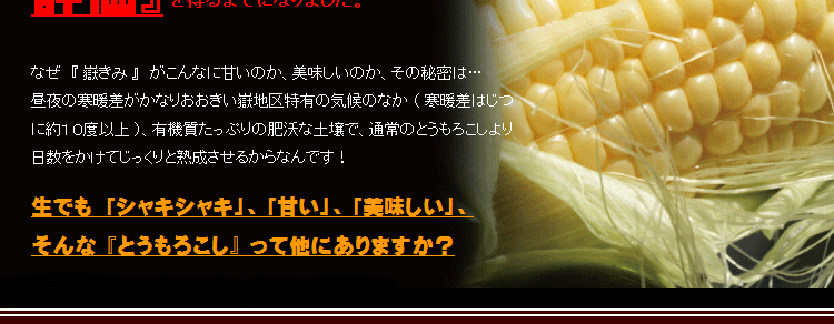 嶽きみ・とうもろこし