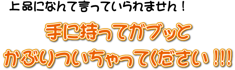 嶽きみ・とうもろこし
