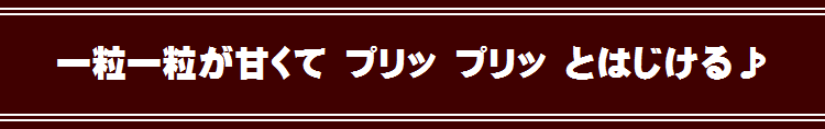 嶽きみ・とうもろこし