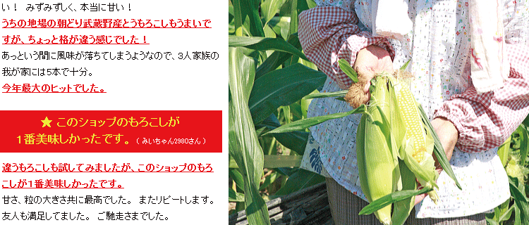 嶽きみ・とうもろこし
