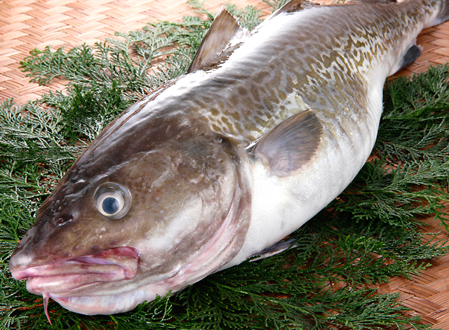 北海”天然”真鱈子