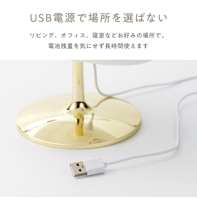 宅配便送料無料] 雲型アロマディフューザー【超音波式 加湿器 韓国