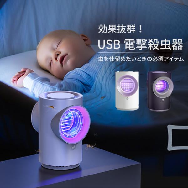 [z֑]  USBd d/zE BP31ydE zߒ ^ USB  dC z d UVU RoG oG   z