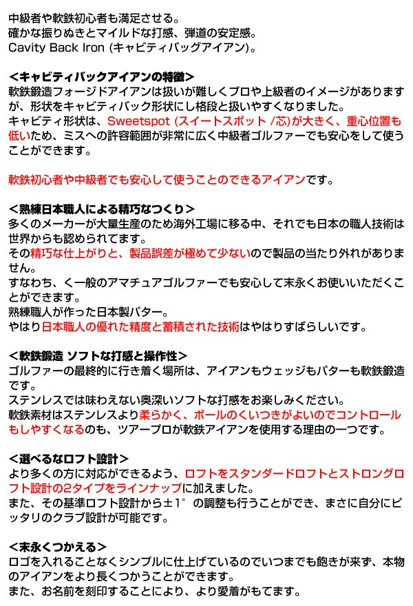 カスタム オンネーム フォージド キャビティバ...の詳細画像2