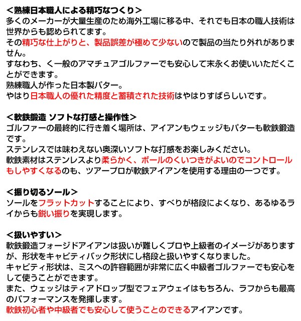 広田ゴルフ カスタム オンネーム キャビティバ...の詳細画像2