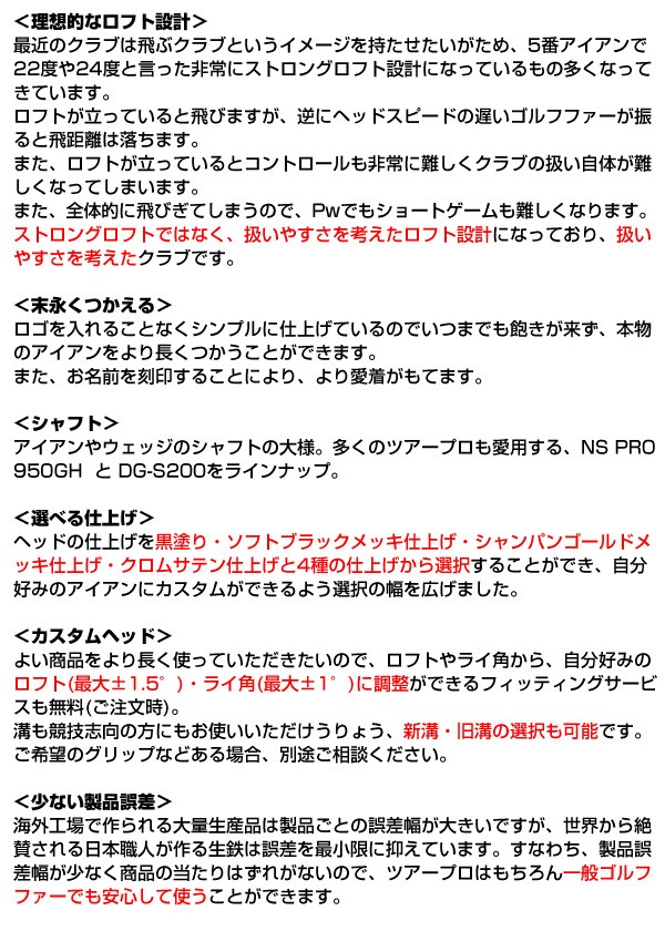 広田ゴルフ カスタム オンネーム キャビティバ...の詳細画像3