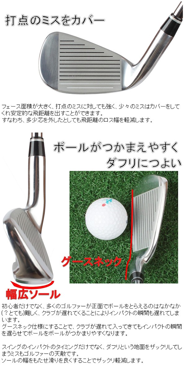 広田ゴルフ ロジャーキング アイアンセット RK-01i 6本 #6-9,Pw