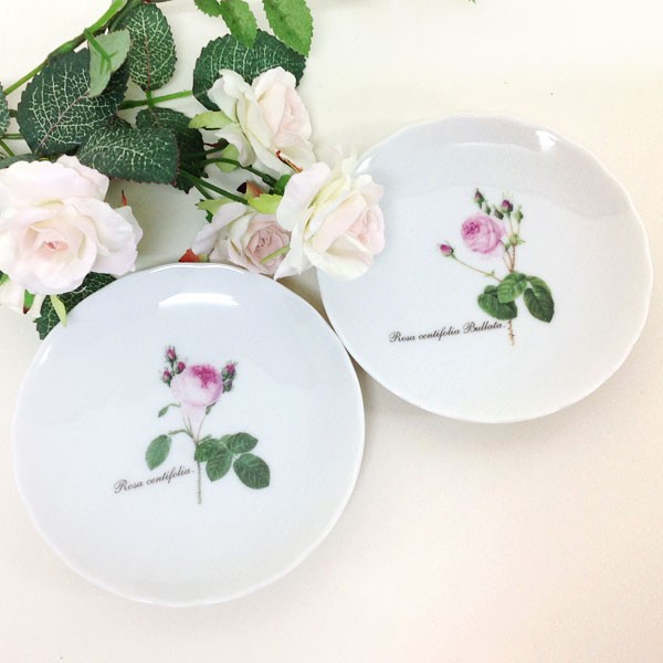 ルドゥーテ 豆皿 小皿 皿 食器 陶器 洋食器 薔薇 ローズ バラ ROSE Redoute