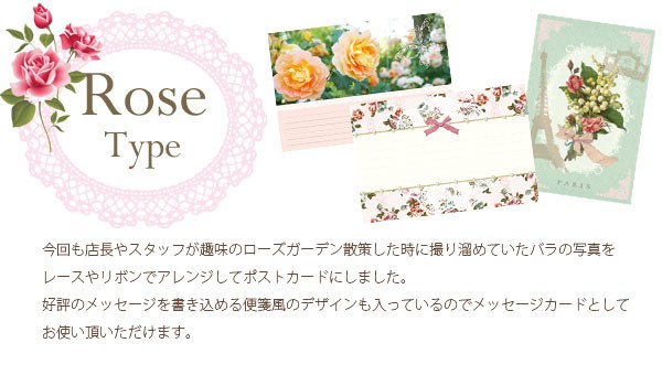 ポストカード おしゃれ 花 猫 ハガキ メッセージカード グリーティング