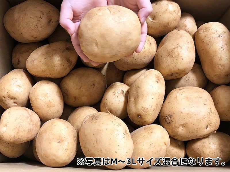 新じゃがいも 送料無料 20kg M~3Lサイズ混合 赤土 南国の恵み