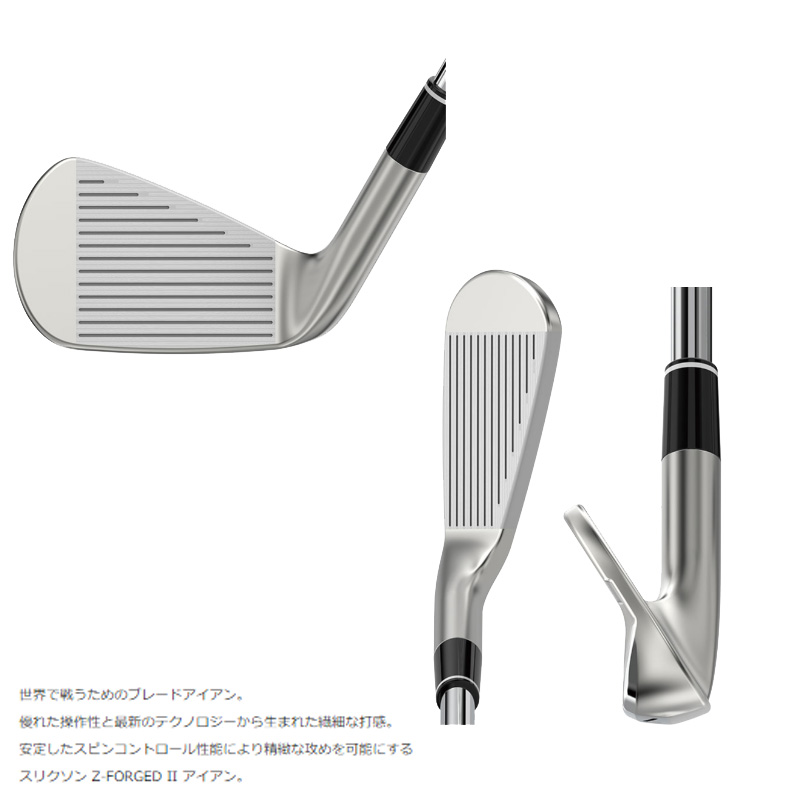 ゼクシオ 13 アイアン ネイビー N.S.PRO 850GH DST for XXIO