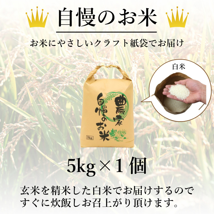 お米 コシヒカリ 精白米 5kg 会津産 送料無料 令和6年産 2024