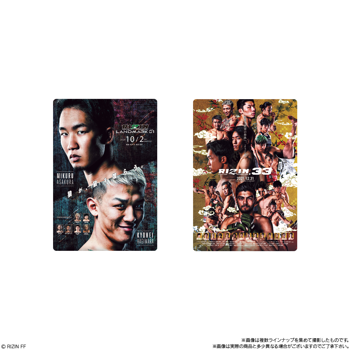 全種セット】RIZIN ポテトスティック ライジン カード コンプリート