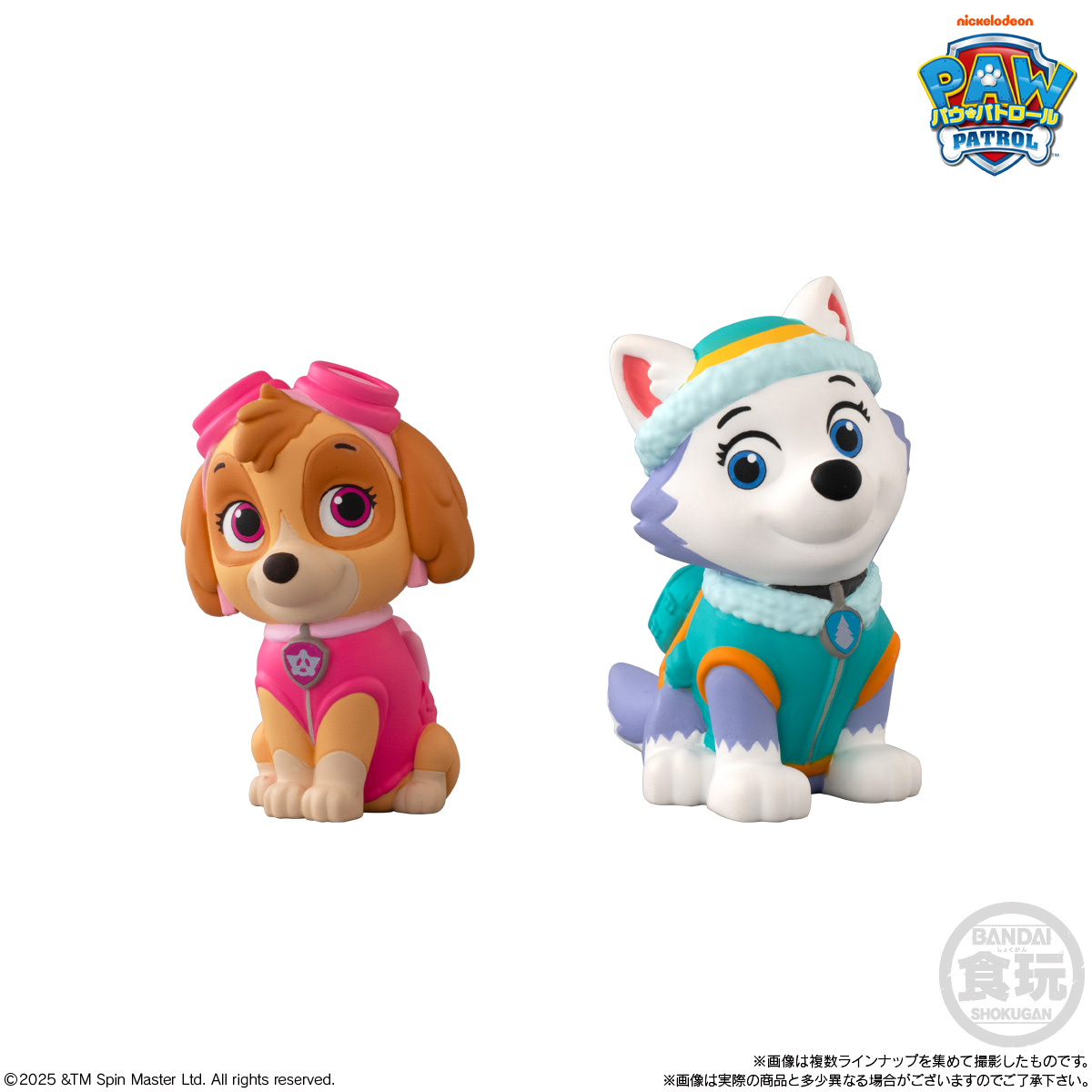 BOX〕バンダイ パウ・パトロール フレンズ 12個入 ( パウパト ソフビ