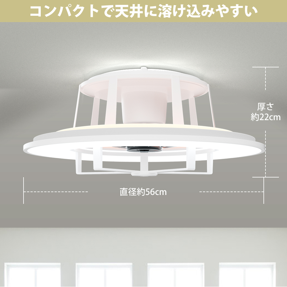 シーリングファンライト 8畳 10畳 薄型 首振 調光調色 シーリング