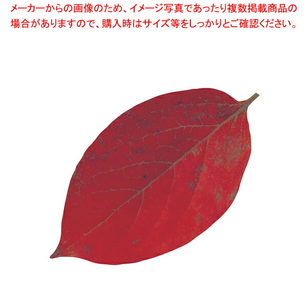 【まとめ買い10個セット品】型抜きクリアシート(200枚入) 65786 ミニ・柿の葉【料理演出用品 敷き小物 料理演出用品 敷き小物 業務用】 :set 2 1475 1401:厨房卸問屋名調