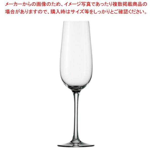 【まとめ買い10個セット品】ワインランド フルートシャンパン 100 00 07(6個入)【調理器具 厨房用品 厨房機器 プロ 愛用 販売 なら 名調】 :set 4 1770 1601:厨房卸問屋名調