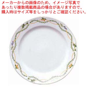 【まとめ買い10個セット品】ニューグランドセラム 25cmディナー皿 95530A/9460 :set 2 1568 0501:厨房卸問屋名調