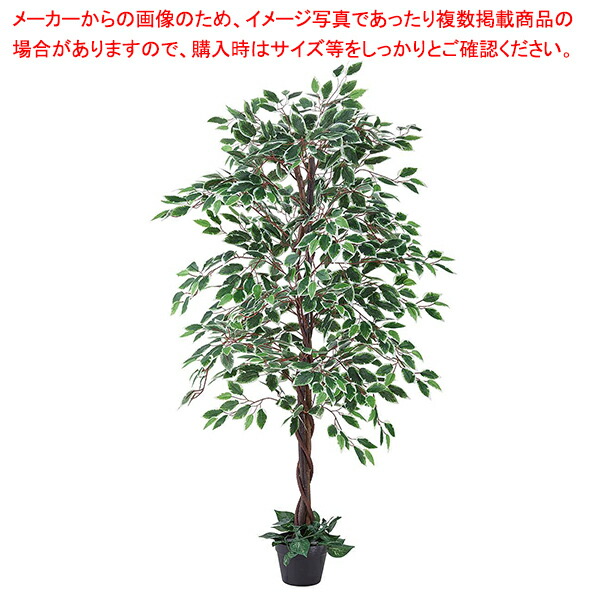 【まとめ買い10個セット品】人工樹木 H150cm ベンジャミングリーン/ホワイト :216 0422792 101:厨房卸問屋名調