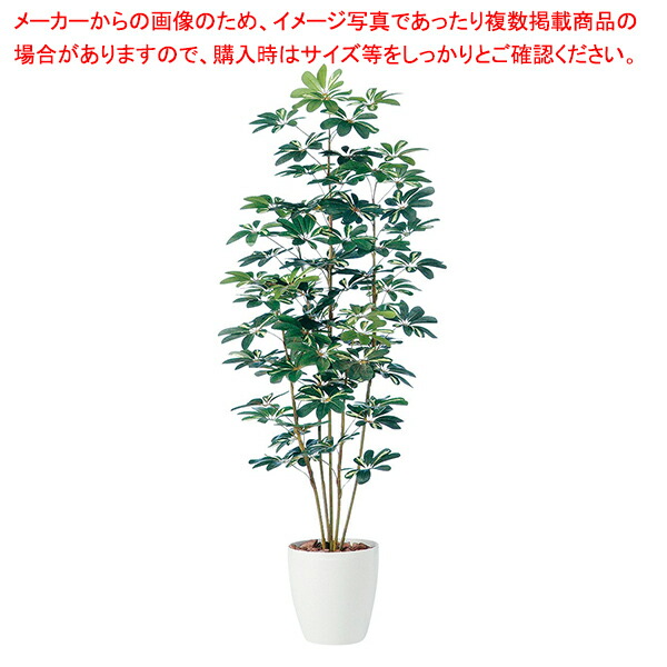 【まとめ買い10個セット品】シュフレラ(人工樹木) 150cm 1台 :216 0424425 101:厨房卸問屋名調