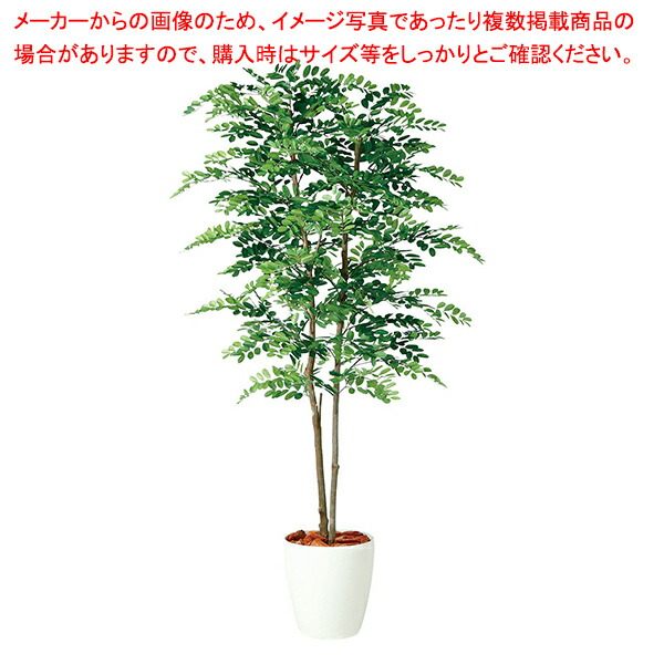 【まとめ買い10個セット品】アカシアデュアル(人工樹木) 150cm 1台 :216 0424433 101:厨房卸問屋名調