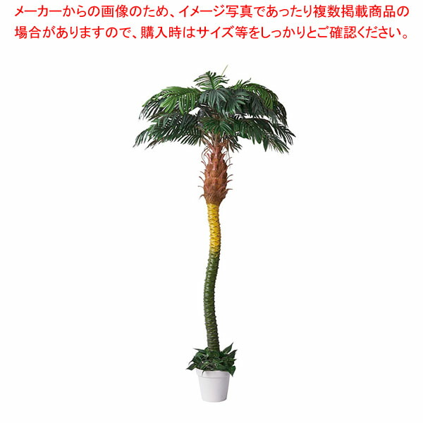 【まとめ買い10個セット品】デラックスパームツリー (人工樹木) 210cm :216 0441284 101:厨房卸問屋名調