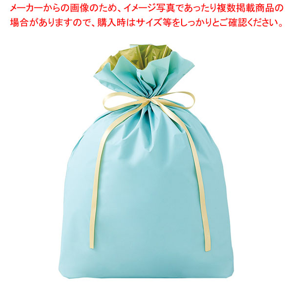 【まとめ買い10個セット品】【20枚】梨地リボン付きギフトバッグ ミント 幅45×高さ56[42]×底マチ12cm :216 0442192 101:厨房卸問屋名調