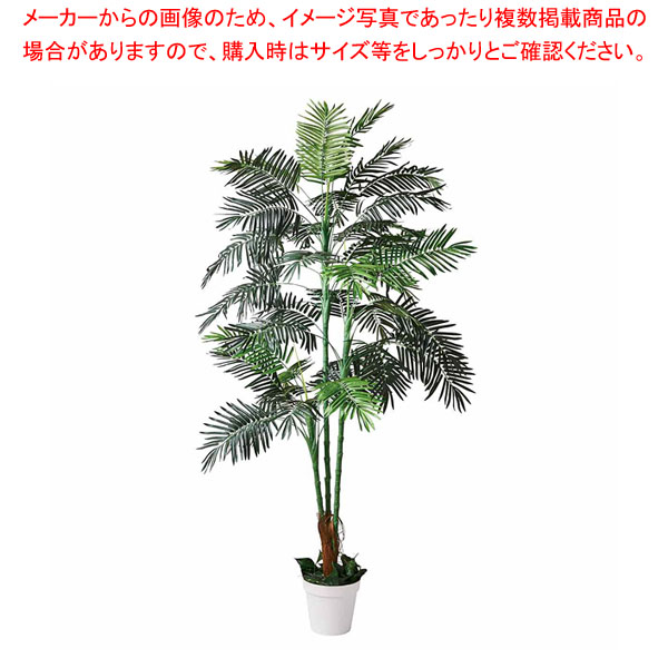 【まとめ買い10個セット品】アレカヤシ(人工樹木) 210cm :216 0441283 101:開業プロ メイチョー