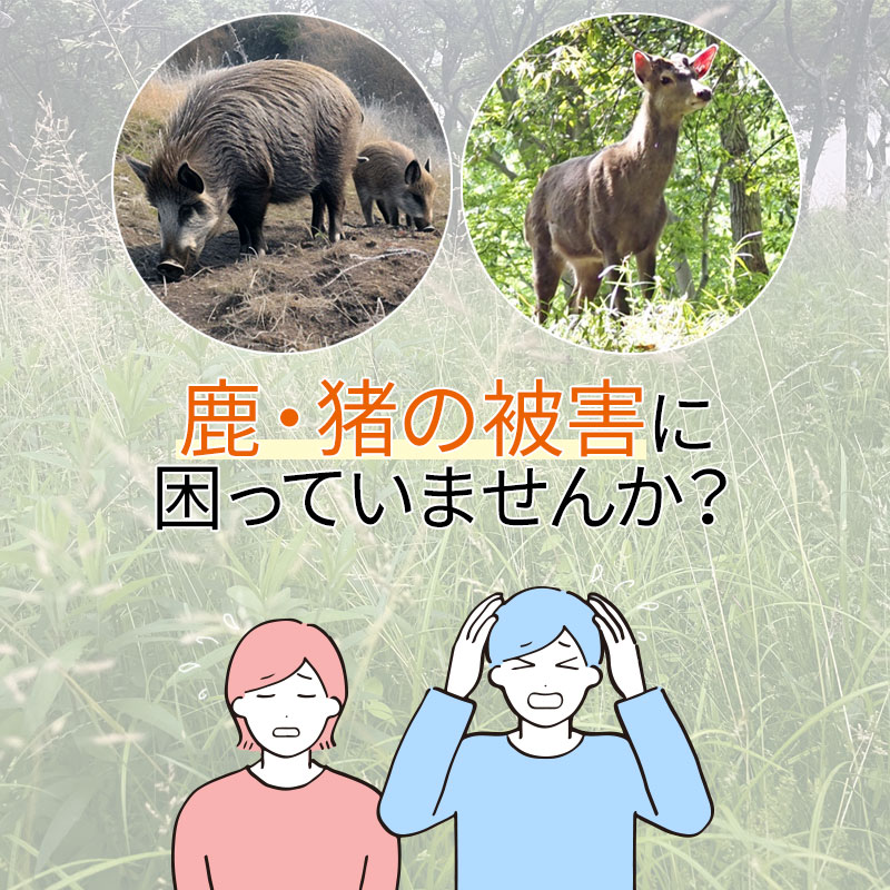 日本製 Keep Away 猪 いのしし イノシシ 鹿 しか シカ 駆除用