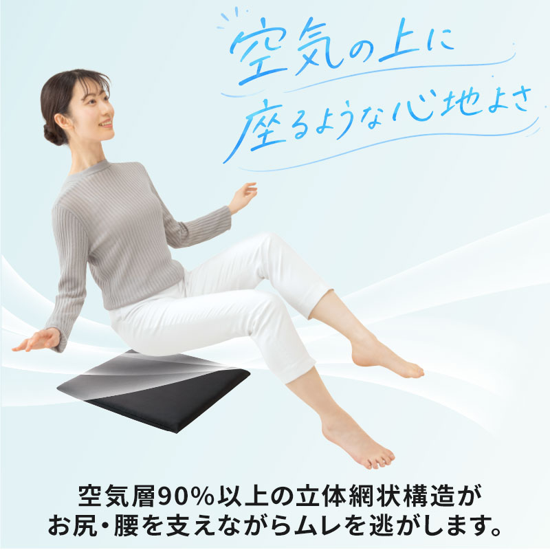 日本製】体圧分散 クッション 座布団 高反発 洗える 医学博士監修 C