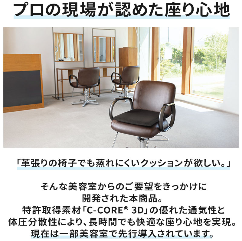 日本製】体圧分散 クッション 座布団 高反発 洗える 医学博士監修 C